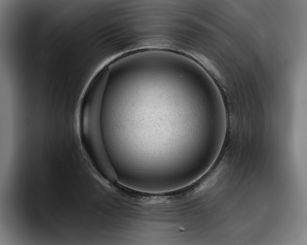 X0000093430846200710121200
