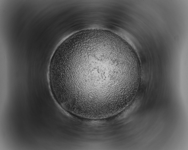 X0000093430847200710121200