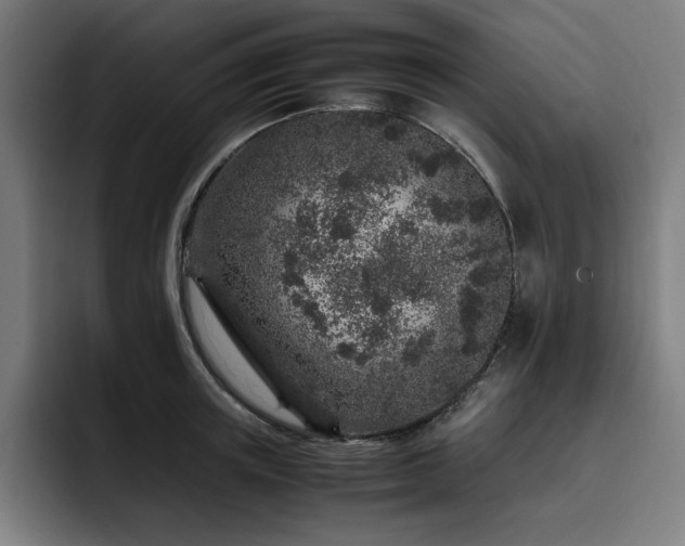 X0000093430851200710121200