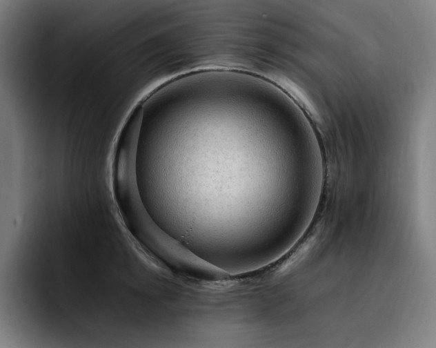 X0000093430854200710121200