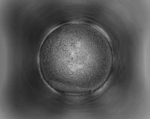 X0000093430855200710121200