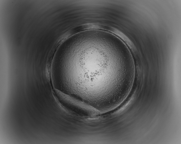 X0000093430857200710121200