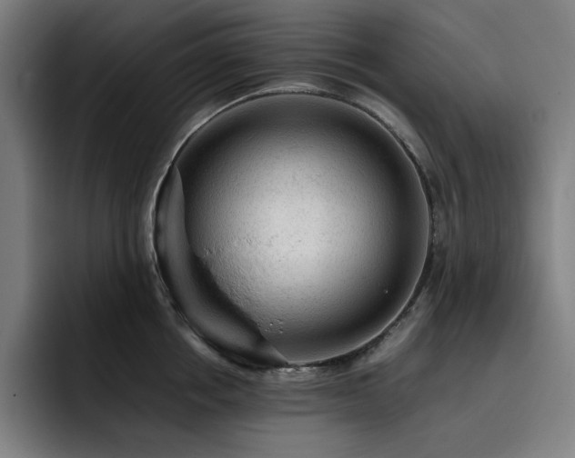 X0000093430858200710121200