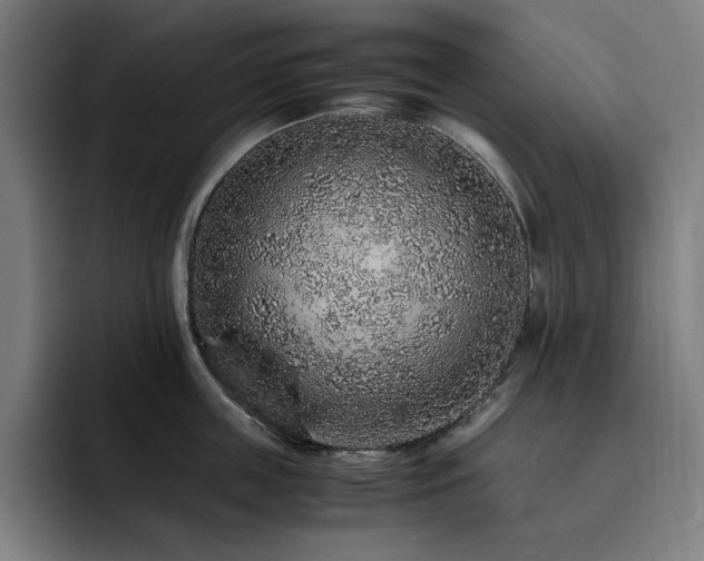 X0000093430859200710121200