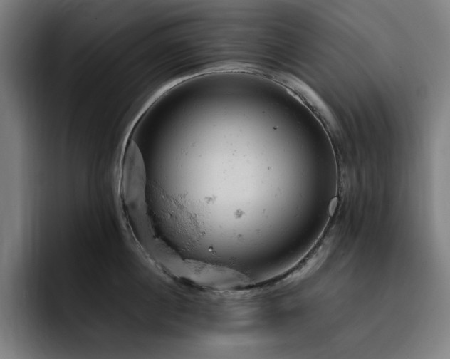 X0000093430860200710121200
