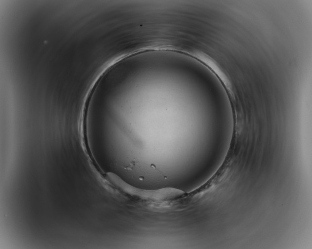 X0000093430861200710121200