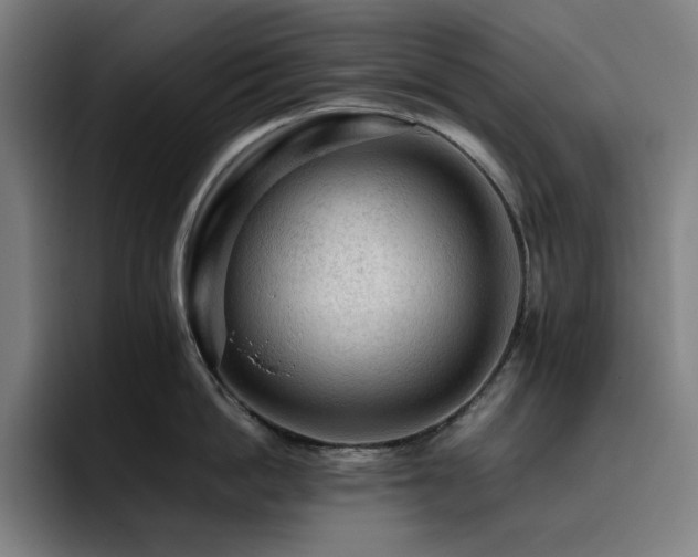 X0000093430862200710121200