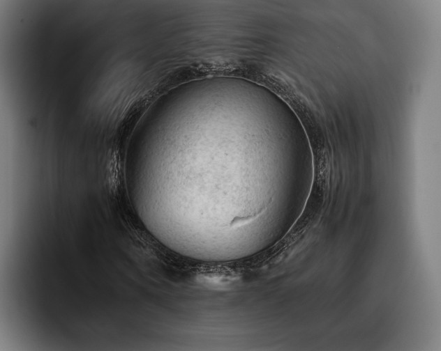 X0000093430866200710121200