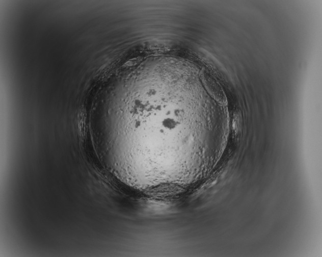 X0000093430867200710121200