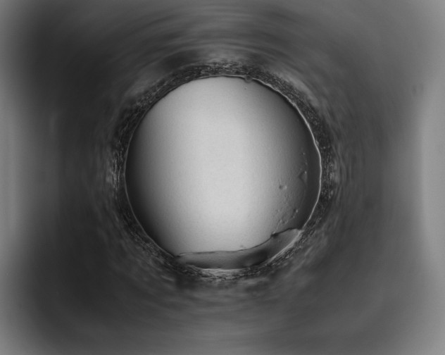 X0000093430869200710121200
