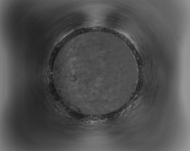 X0000093430871200710121200