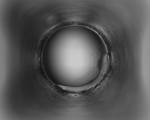 X0000093430872200710121200