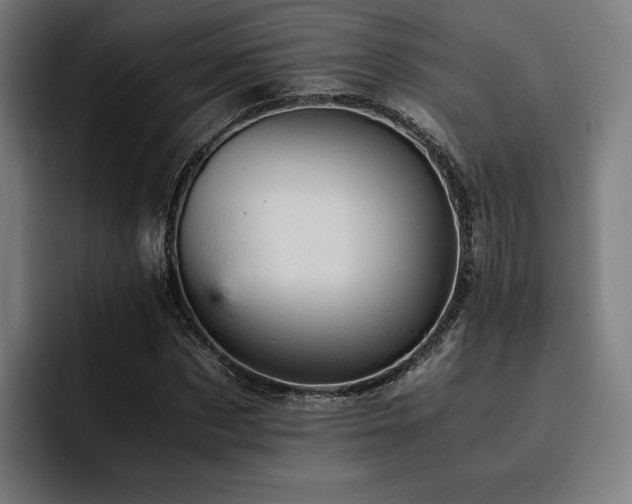 X0000093430873200710121200
