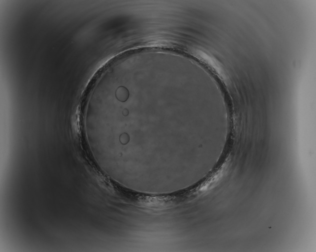 X0000093430875200710121200