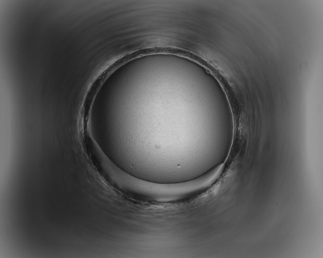 X0000093430877200710121200