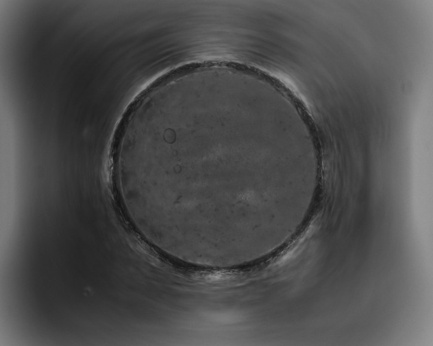 X0000093430879200710121200