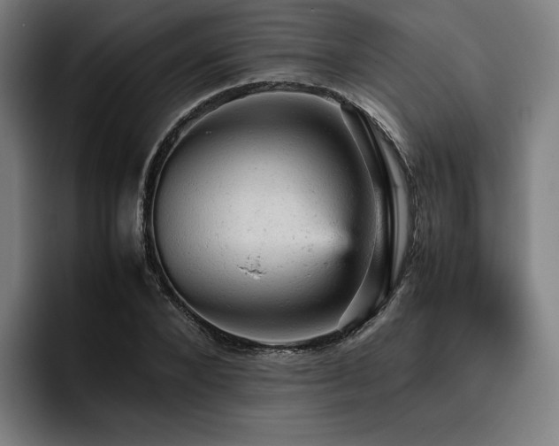 X0000093430880200710121200