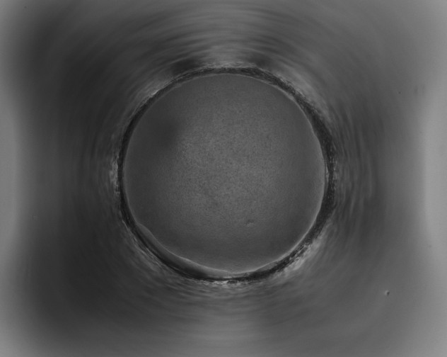 X0000093430881200710121200