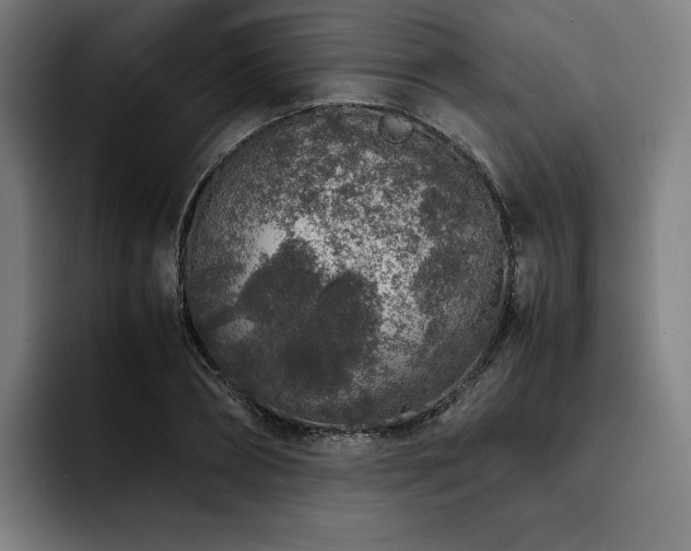 X0000093430882200710121200