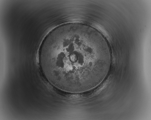 X0000093430883200710121200