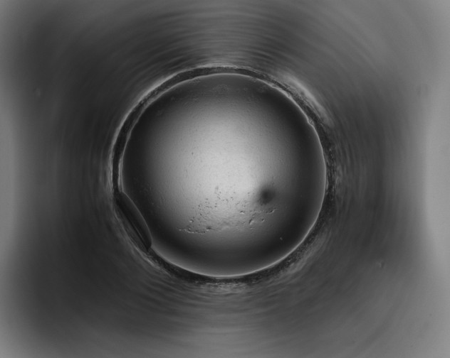 X0000093430884200710121200