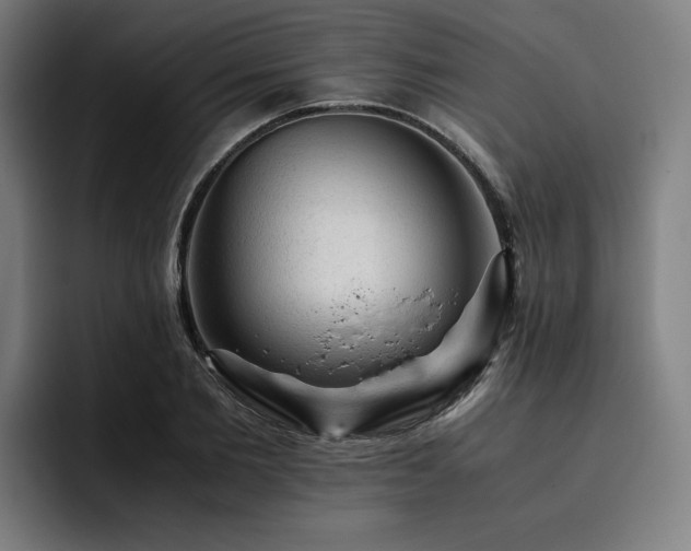 X0000093430885200710121200