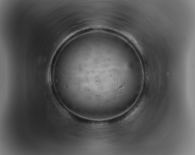 X0000093430887200710121200