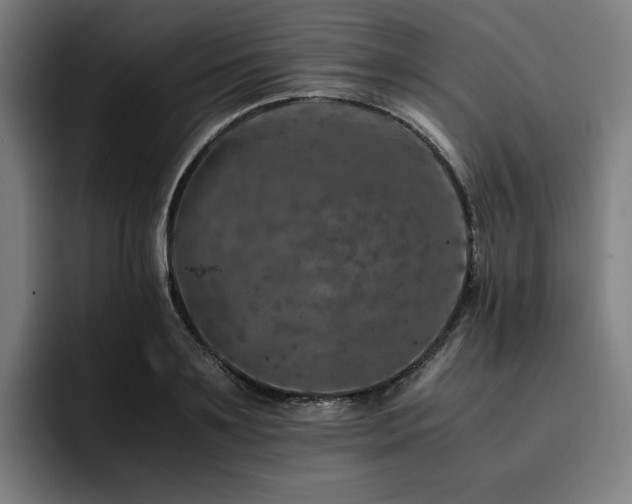 X0000093430891200710121200