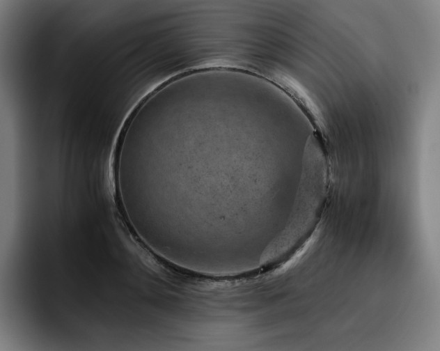 X0000093430892200710121200