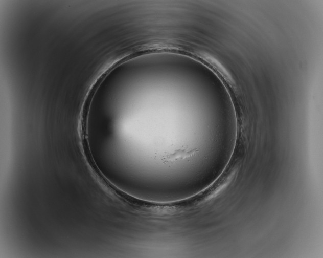 X0000093430893200710121200