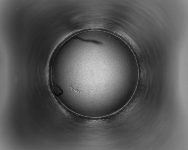 X0000093430894200710121159