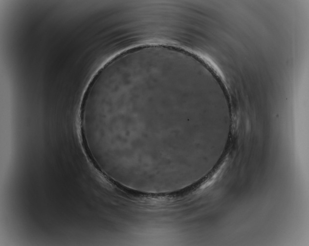 X0000093430895200710121159
