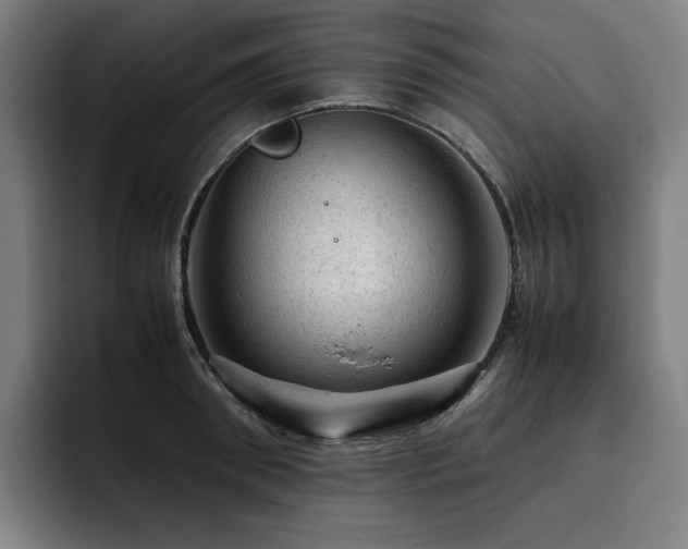 X0000093430898200710121159