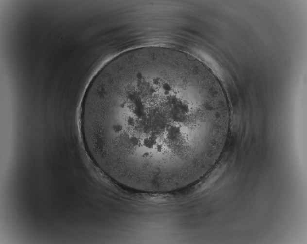 X0000093430899200710121159