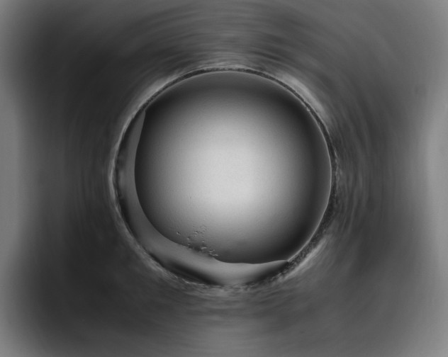 X0000093430901200710121159
