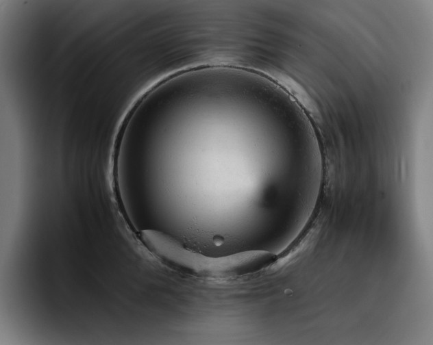 X0000093430904200710121159