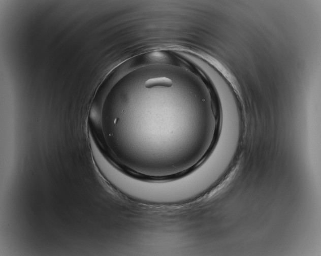 X0000093430905200710121159