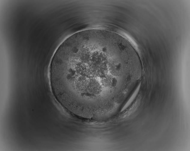 X0000093430907200710121159
