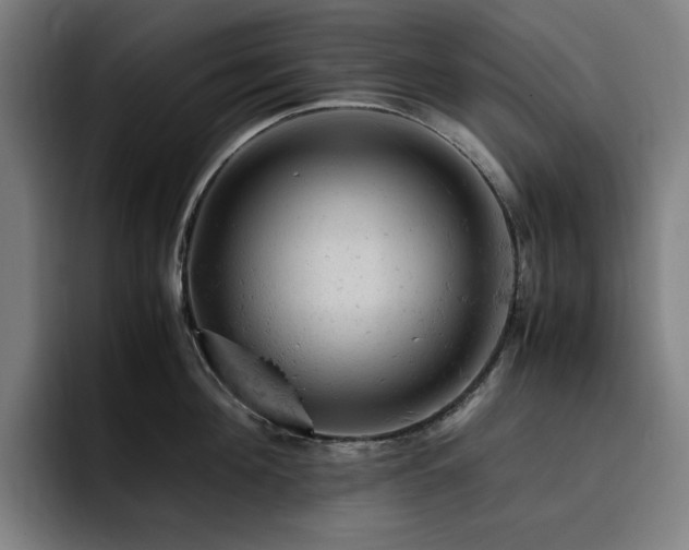 X0000093430908200710121159
