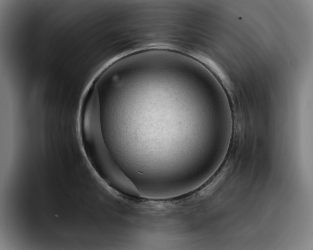 X0000093430910200710121159