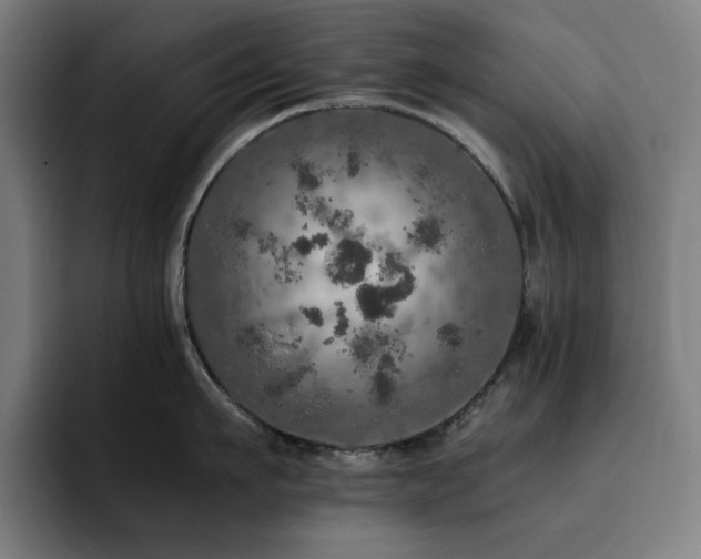 X0000093430911200710121159