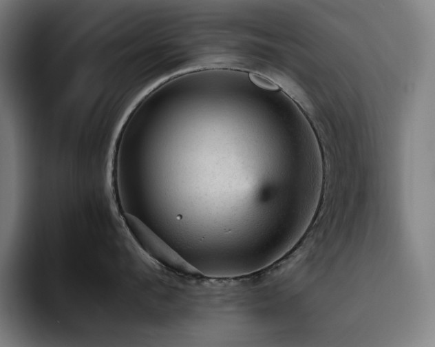 X0000093430912200710121159