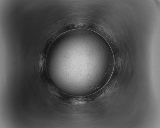 X0000093430914200710121159