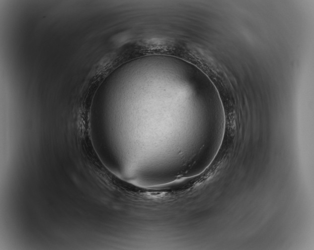 X0000093430916200710121159