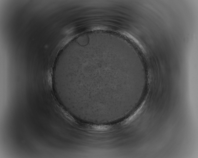 X0000093430921200710121159