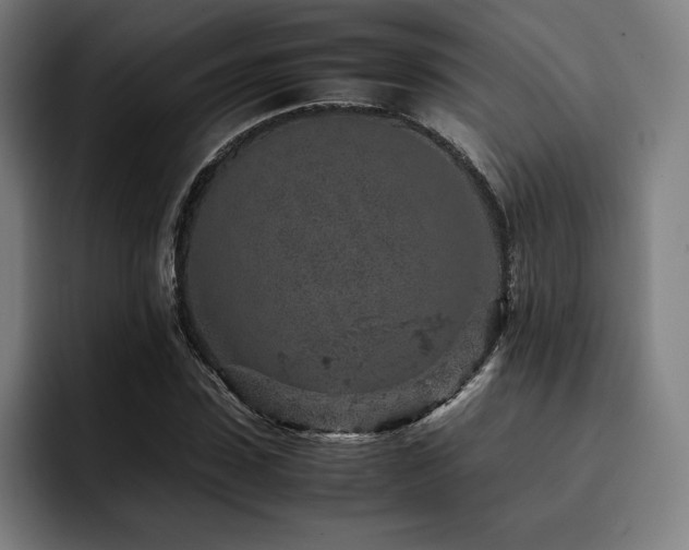X0000093430923200710121159