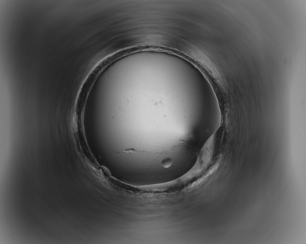 X0000093430924200710121159