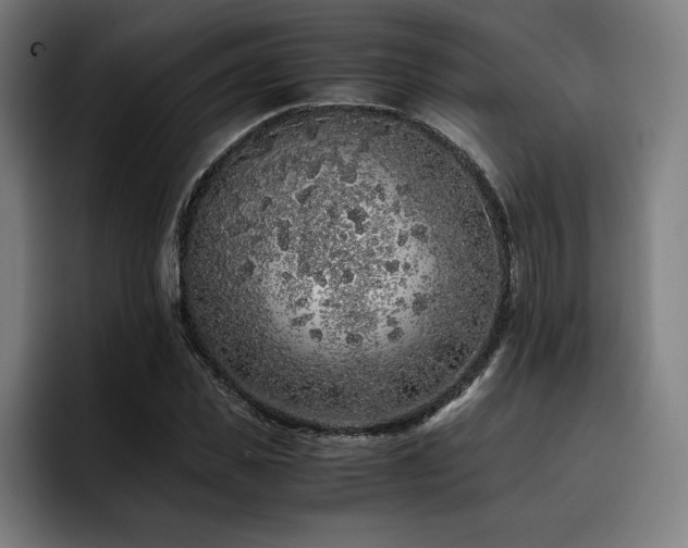 X0000093430925200710121159