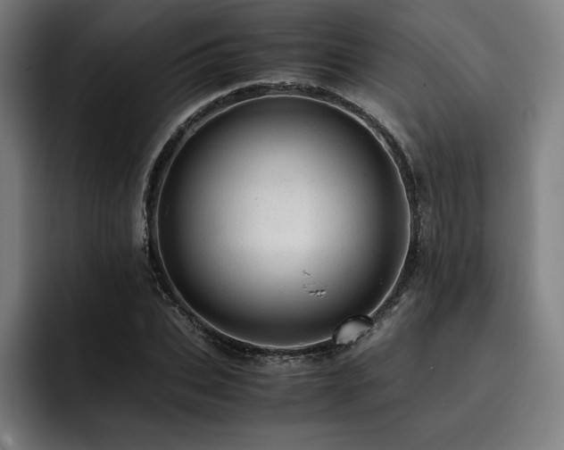 X0000093430927200710121159