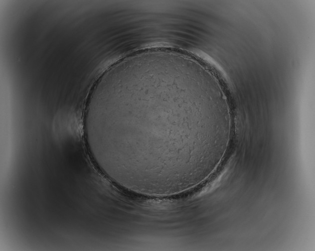 X0000093430929200710121159